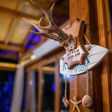 빌라 1331 Zheleznitsa