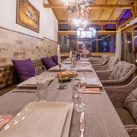 1331 빌라 Zheleznitsa